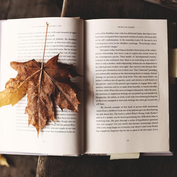 Visualize impactful mindshare