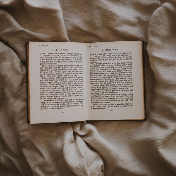 Streamline customized models